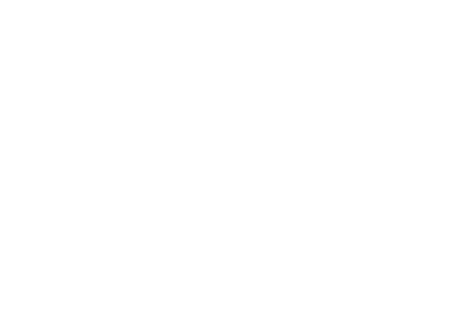 Vasireisa